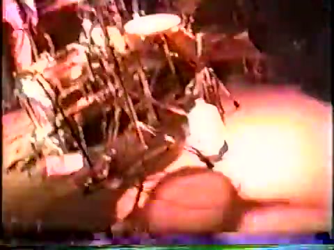 Combatwoundedveteran - Live Tampa Florida