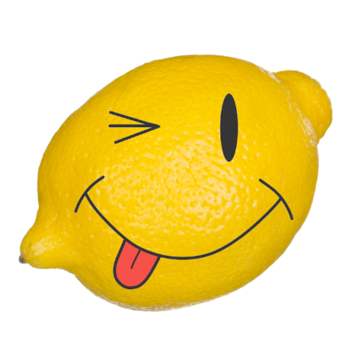 Sonic Youth Crew Picture